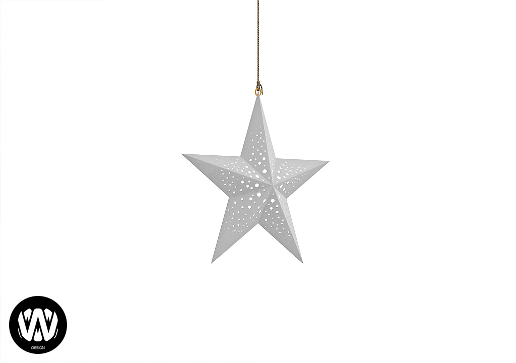 Salvia Hanging Star – Small